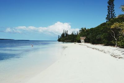 View of beach against blue sky