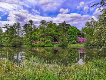 Scenic view of lake by trees against sky