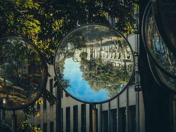 Reflection of trees on swimming pool against building