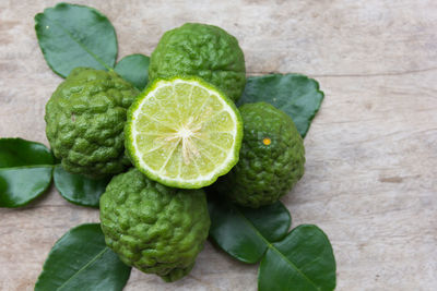 Close-up of green leaves