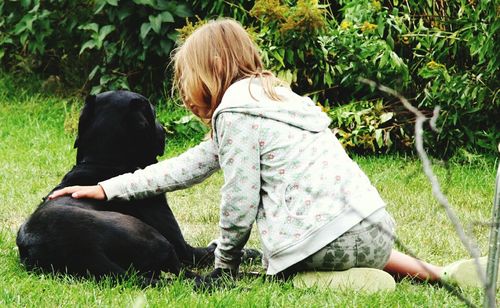 Rear view of dog sitting on grass in park