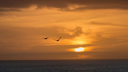 Silhouette birds flying over sea against orange sky