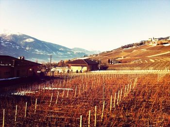 Scenic view of landscape with mountains in background