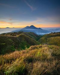 Scenic view of landscape against sky during sunset