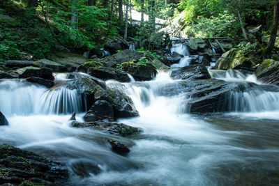 Scenic view of waterfall in forest