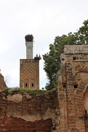 history, the past, architecture, built structure, ancient, travel destinations, building exterior, tower, old, no people, tourism, travel, building, tree, solid, old ruin, stone material, nature, religion, sky, outdoors, ruined, ancient civilization, stone wall, architectural column