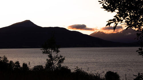 Silhouette trees by calm lake at sunset