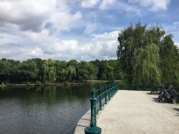 Scenic view of trees against sky