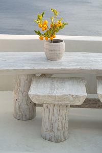 Close-up of potted plant on table by sea
