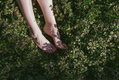 Low section of woman standing on flowering plants