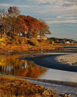 Trees by lake against sky during autumn