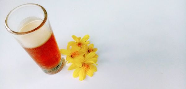 Close-up of yellow rose against white background