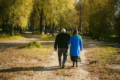 Rear view of two people walking in forest