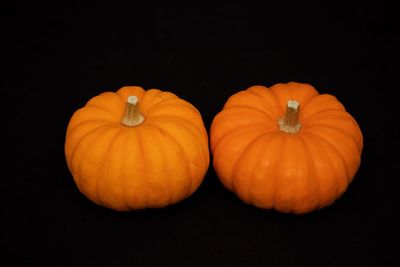 Close-up of pumpkins against black background