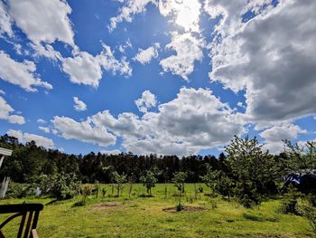 Trees on field against sky