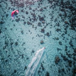 High angle view of person swimming in sea