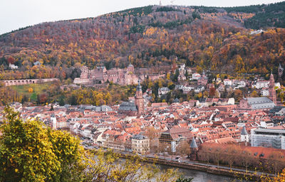 High angle view of trees and buildings in town