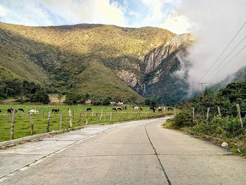 Road passing through landscape