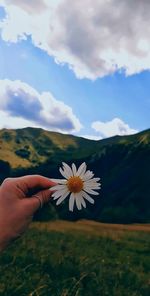Hand holding white flowering plant against cloudy sky
