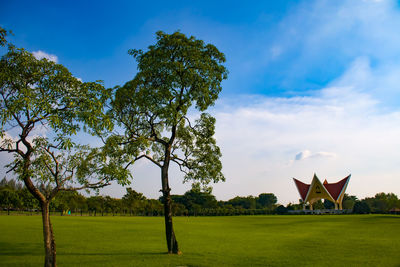 Trees on field against sky