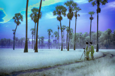 Panoramic view of palm trees on field against sky