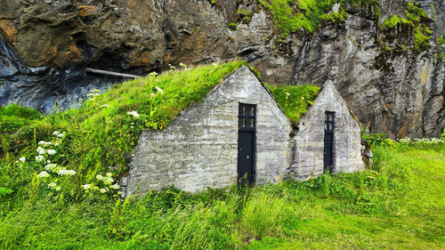 House on field