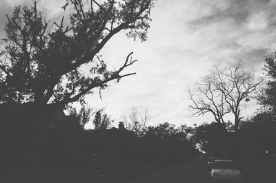 Low angle view of silhouette trees against sky