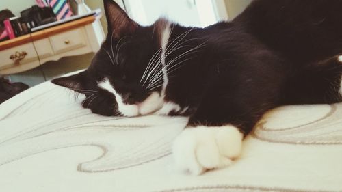 Close-up of cat sleeping on bed at home