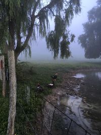 Scenic view of lake against trees