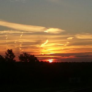 Silhouette of trees against sky during sunset