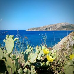 Scenic view of sea against blue sky