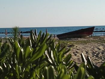 Scenic view of sea against clear sky