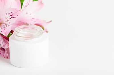 Close-up of pink flower in jar on table against white background