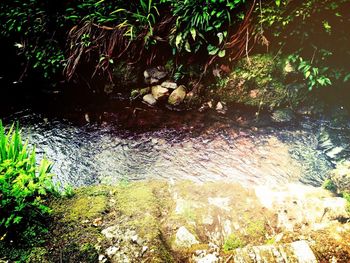 Stream flowing through rocks