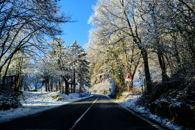 Empty road along bare trees during winter