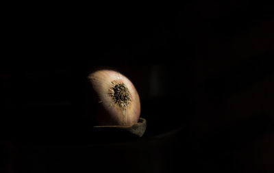 Close-up of illuminated lamp over black background