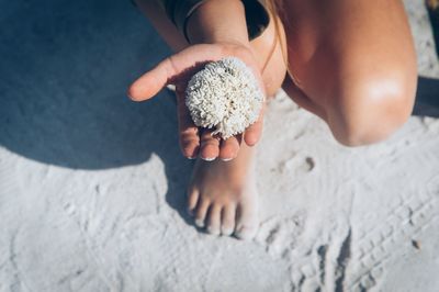 Close-up of woman holding coral