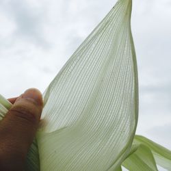 Close-up of hand against sky