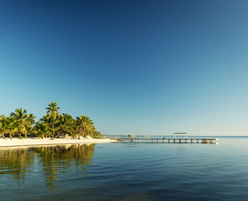 Scenic view of sea against clear blue sky