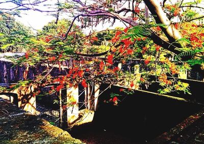 Built structure with trees in background