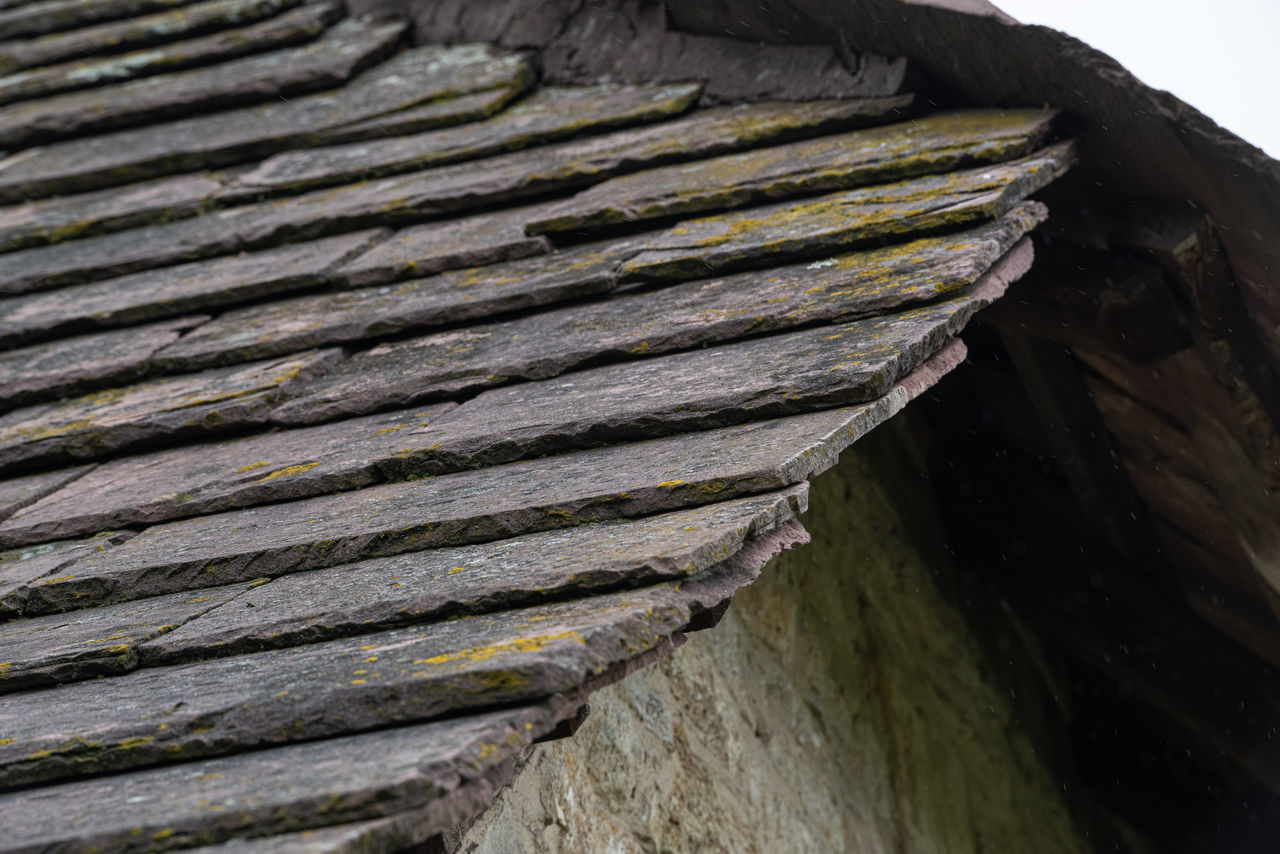 CLOSE-UP OF STACK OF LOGS