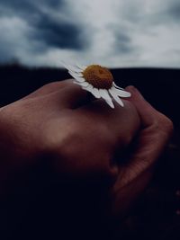 Close-up of hand holding flower against sky