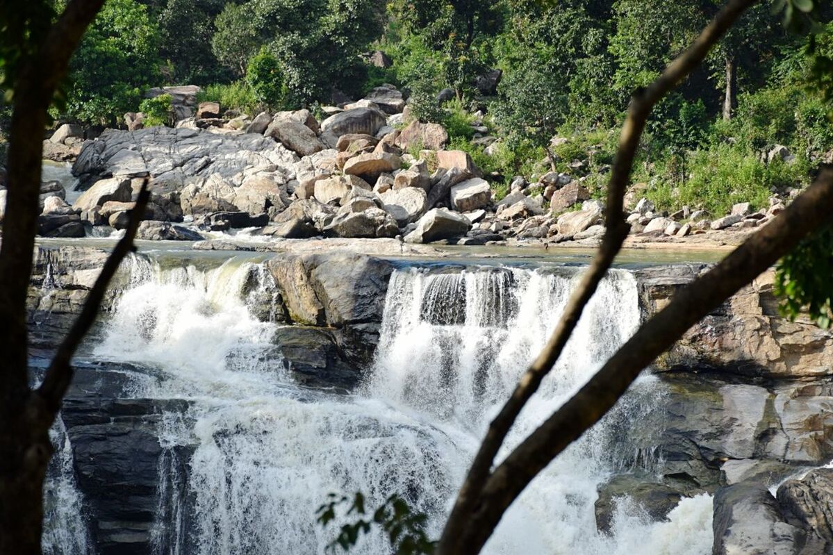 SCENIC VIEW OF WATERFALL IN TREES