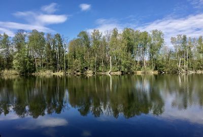 Scenic view of lake by trees against sky