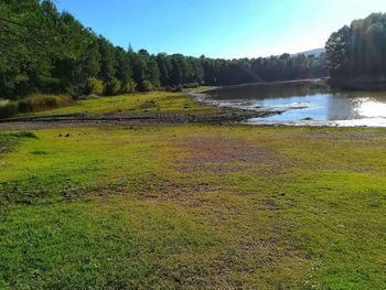 Scenic view of grassy field by lake against sky