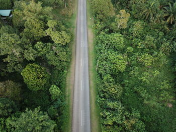 High angle view of road amidst trees in forest