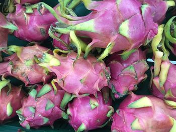 Full frame shot of pink flowers for sale in market