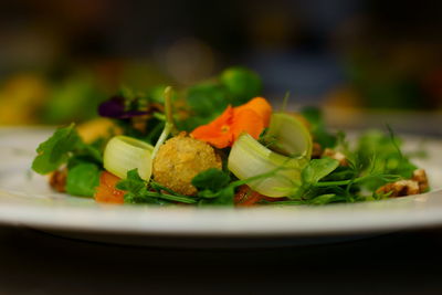 Close-up of served food in plate