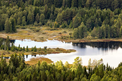 Scenic view of lake in forest against sky