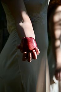 Close-up of hand holding apple